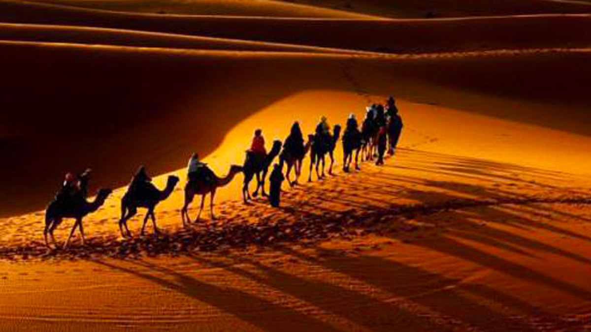 Les chiens aboient et la caravane passe…